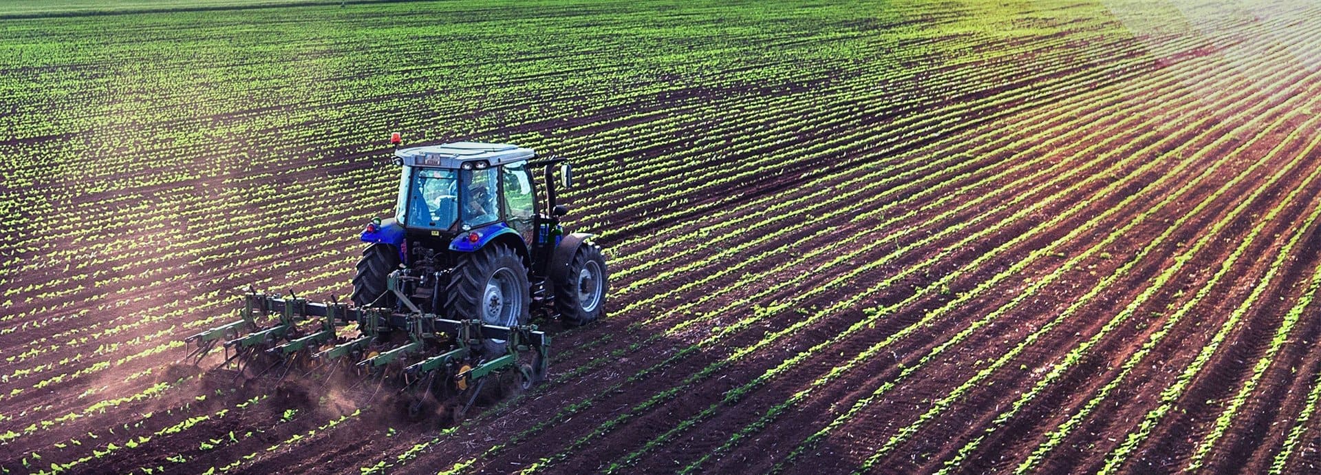 Hutchinson véhicules tout terrain et agriculture